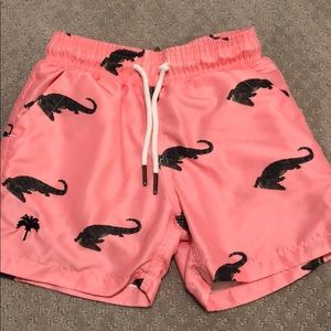 Boys Coral Gator Swim Trunks